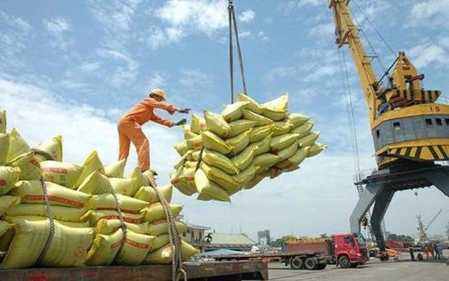 Vietnam to fully resume rice exports from May | The Star