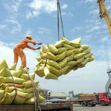 Vietnam to fully resume rice exports from May | The Star