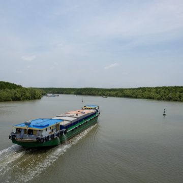 A vital mangrove forest hidden in Vietnam’s largest city could be at risk | MICHAEL TATARSKI – Mongabay