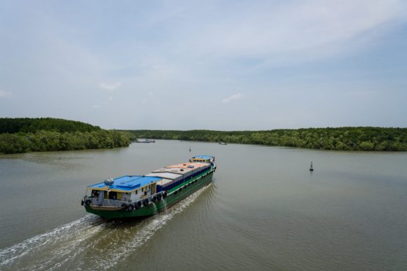 A vital mangrove forest hidden in Vietnam’s largest city could be at risk | MICHAEL TATARSKI – Mongabay