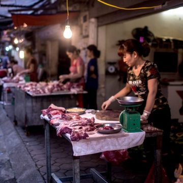 Bloomberg: Vietnam to Import Live Pigs for Slaughter for First Time